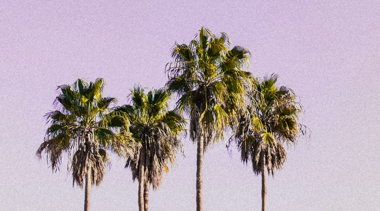 Sommer Drop - Hot Summer
